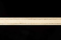 Andro Synteliac ZCI Offensiv