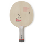 Joola BASEline Offensiv